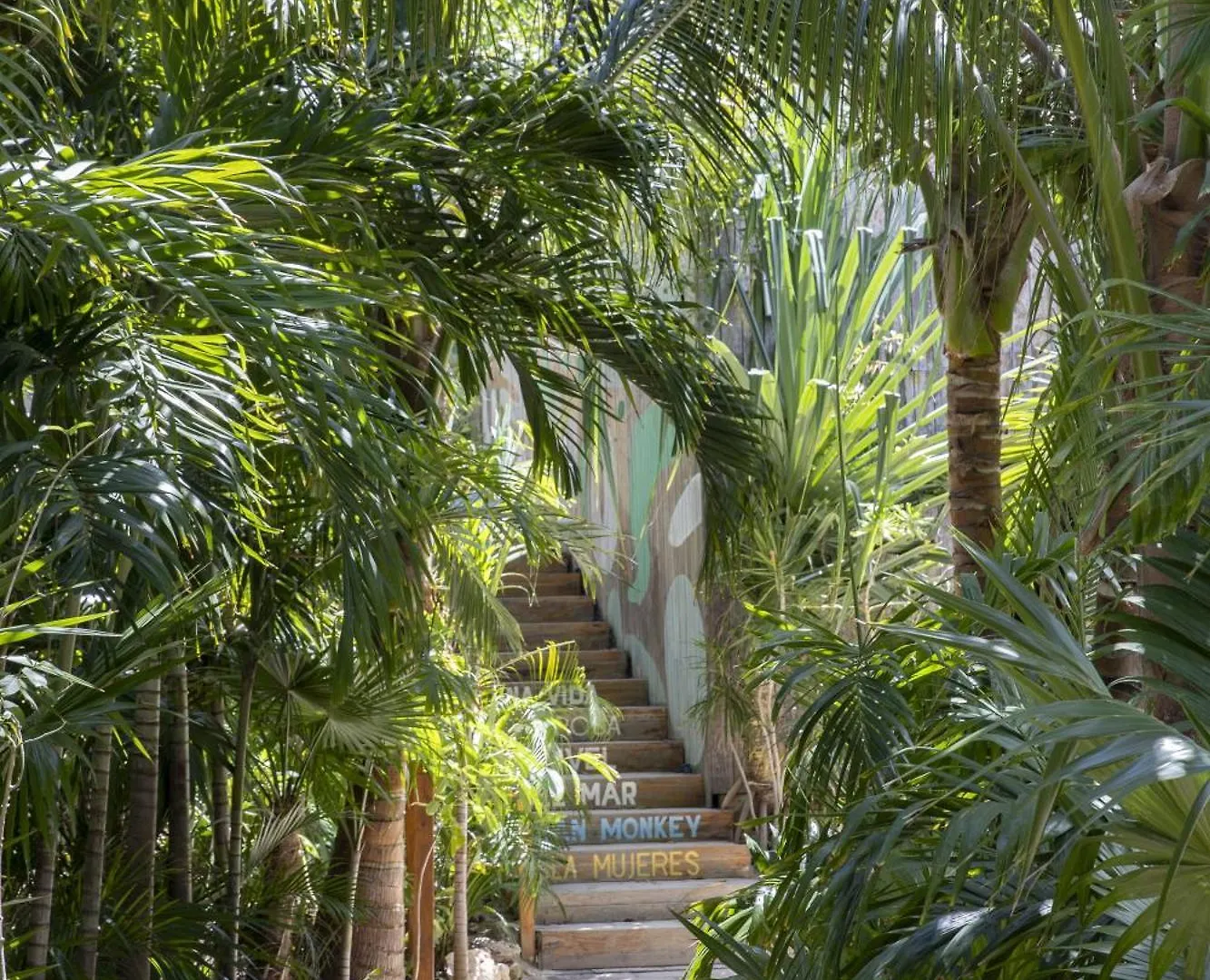 ****  Mayan Monkey Isla Mujeres - Social Hotel (Adults Only) Mexico