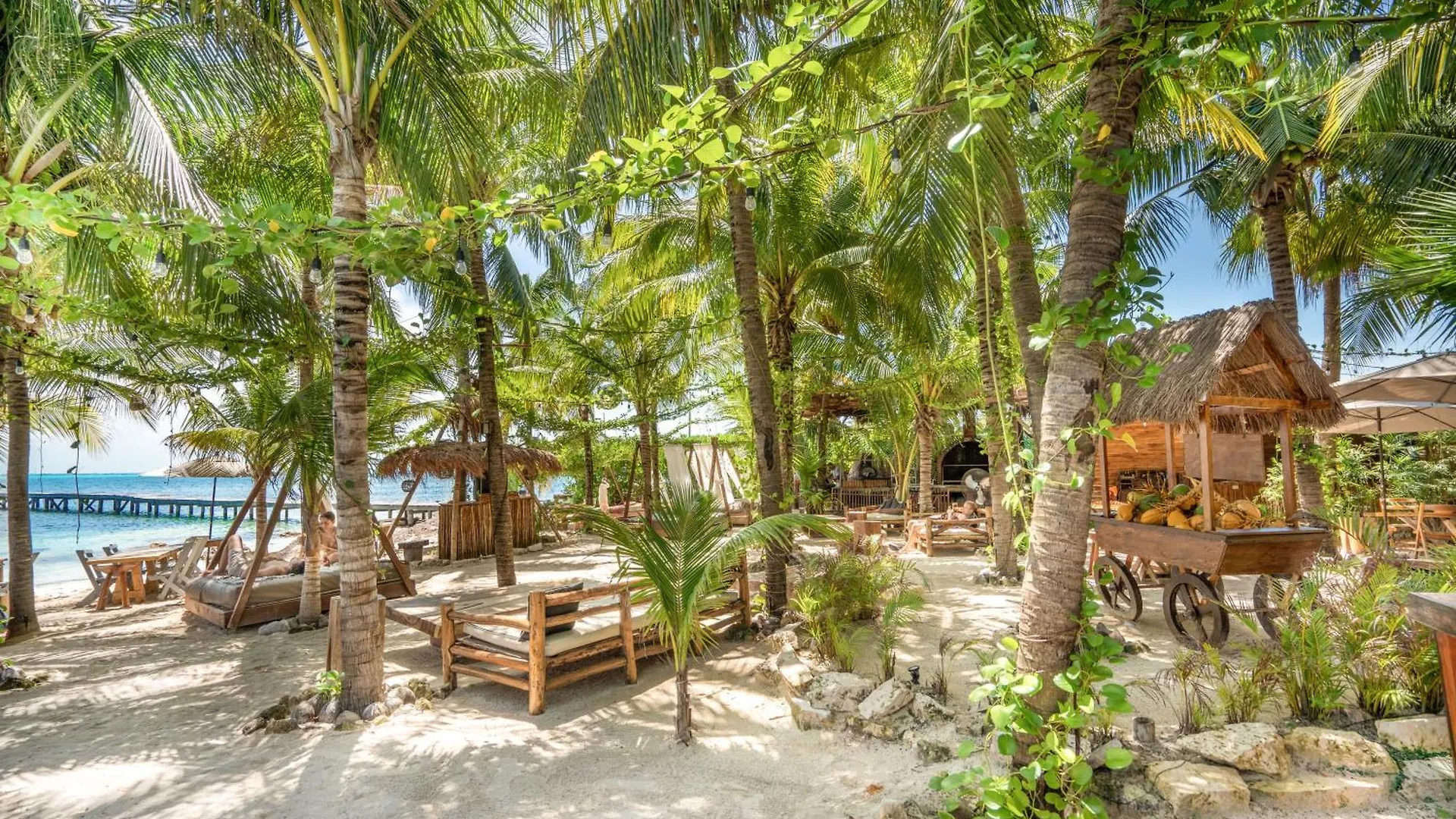 Mayan Monkey Isla Mujeres - Social Hotel (Adults Only)