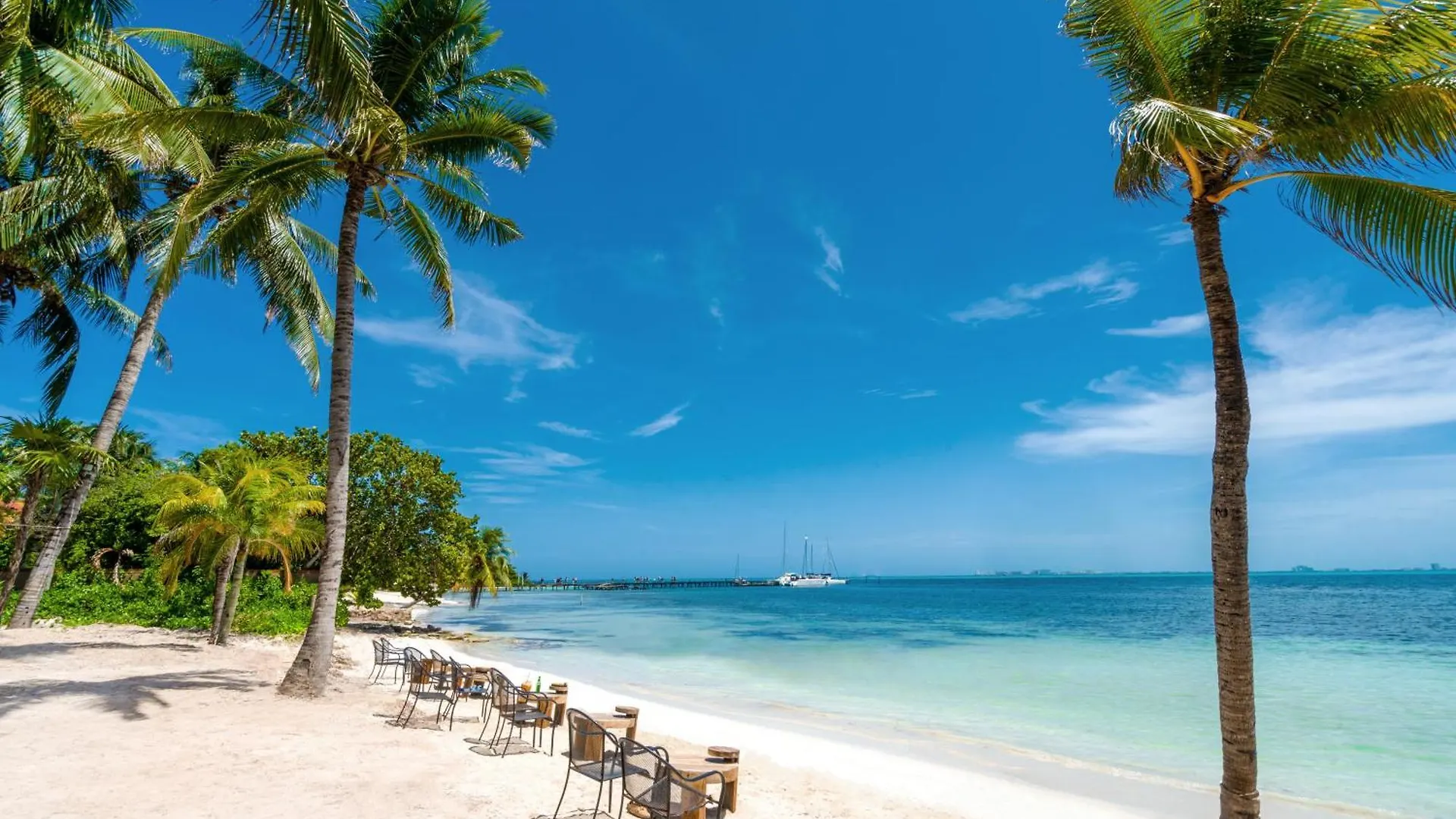 Mayan Monkey Isla Mujeres - Social Hotel (Adults Only)