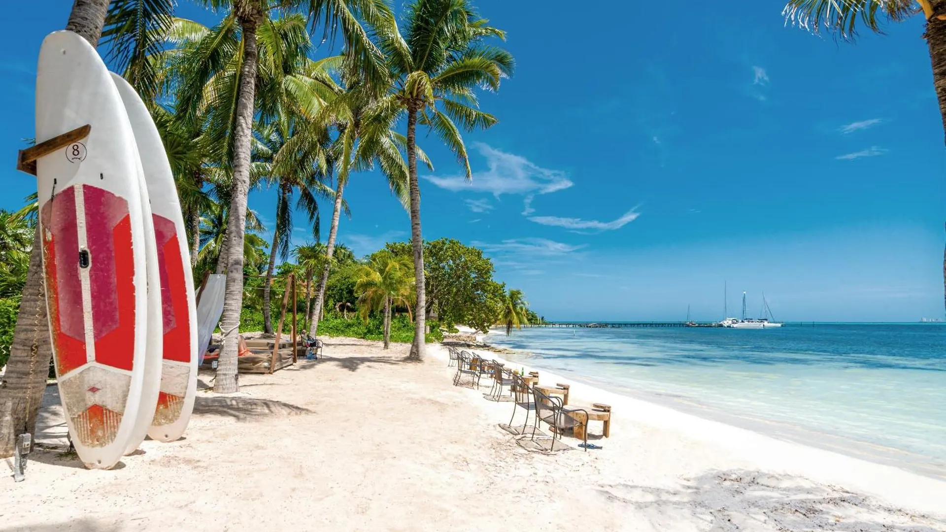 Mayan Monkey Isla Mujeres - Social Hotel (Adults Only)