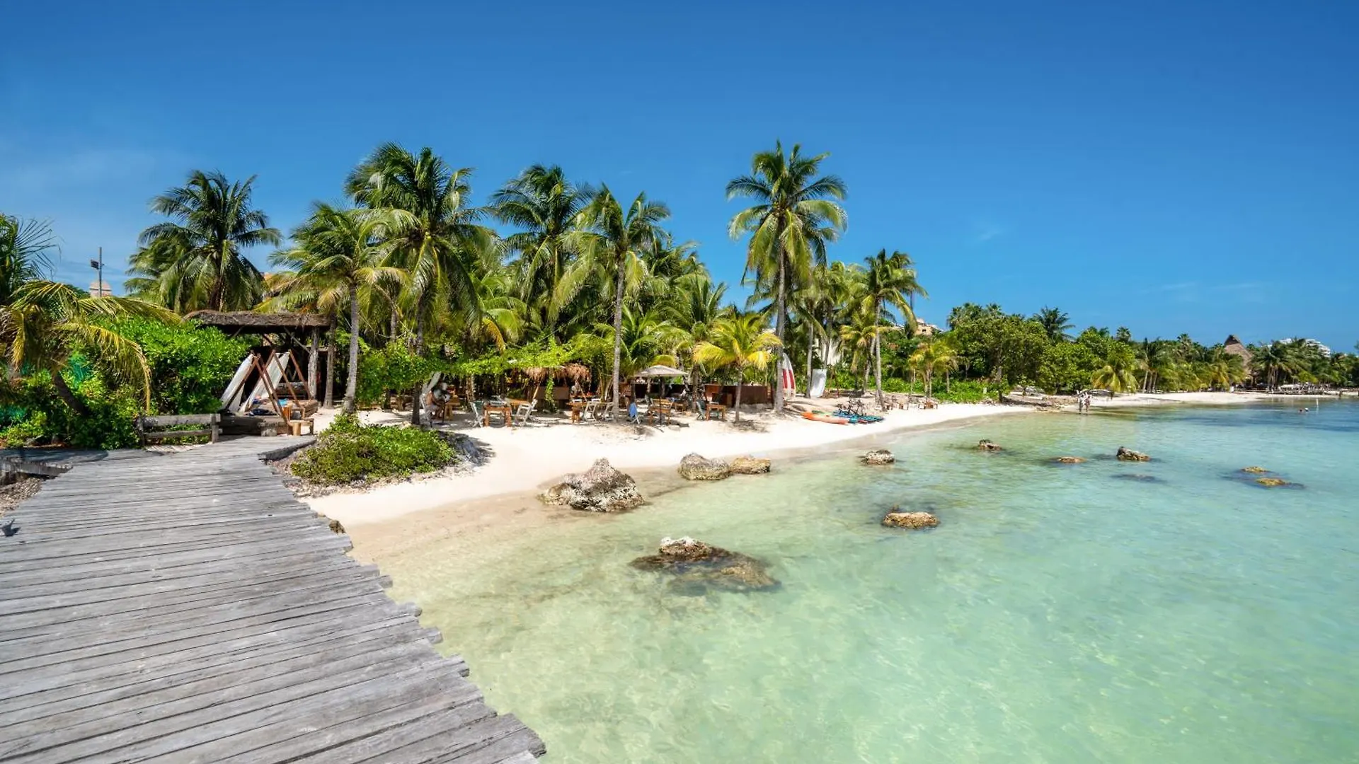 Mayan Monkey Isla Mujeres - Social Hotel (Adults Only)