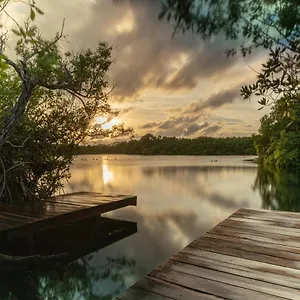 https://yaxchen-tulum-eco-lodge-cenote.tulum-hotels.net