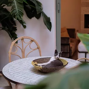 ** Riad Danka Marokko