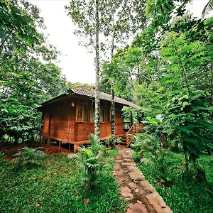bamboo-creek-resort.kerala-hotels.net/
